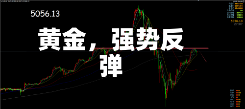 黄金，强势反弹-第2张图片