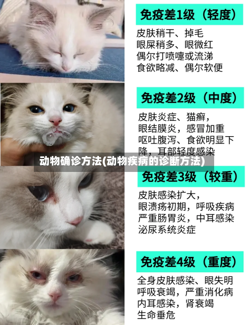 动物确诊方法(动物疾病的诊断方法)-第2张图片