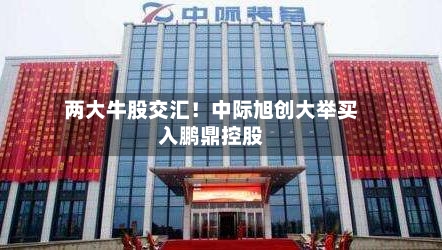 两大牛股交汇!中际旭创大举买入鹏鼎控股-第2张图片