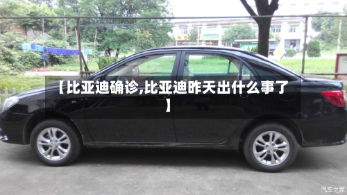 【比亚迪确诊,比亚迪昨天出什么事了】-第3张图片