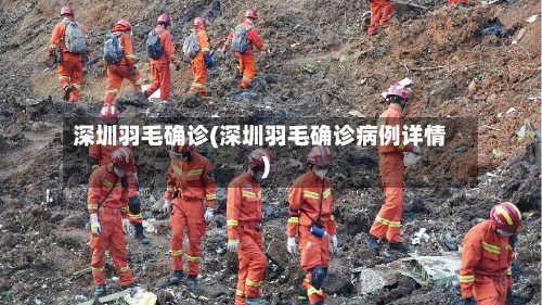深圳羽毛确诊(深圳羽毛确诊病例详情)