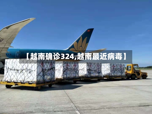 【越南确诊324,越南最近病毒】-第2张图片