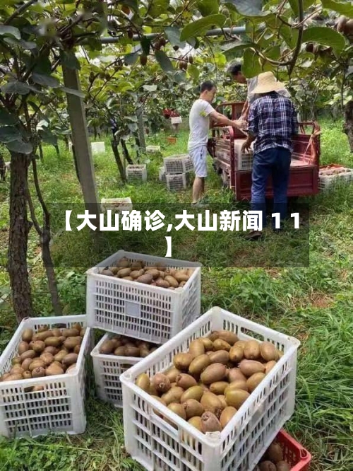 【大山确诊,大山新闻 1 1】-第3张图片