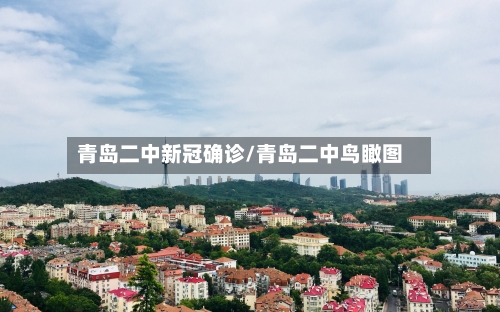 青岛二中新冠确诊/青岛二中鸟瞰图