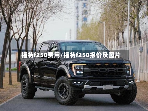 福特f250费用/福特f250报价及图片