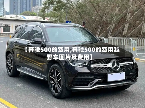 【奔驰500的费用,奔驰500的费用越野车图片及费用】-第3张图片