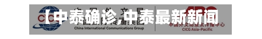 【中泰确诊,中泰最新新闻】-第2张图片