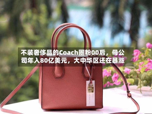不装奢侈品的Coach圈粉00后，母公司年入80亿美元，大中华区还在暴涨-第3张图片