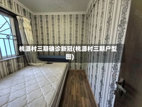 桃源村三期确诊新冠(桃源村三期户型图)