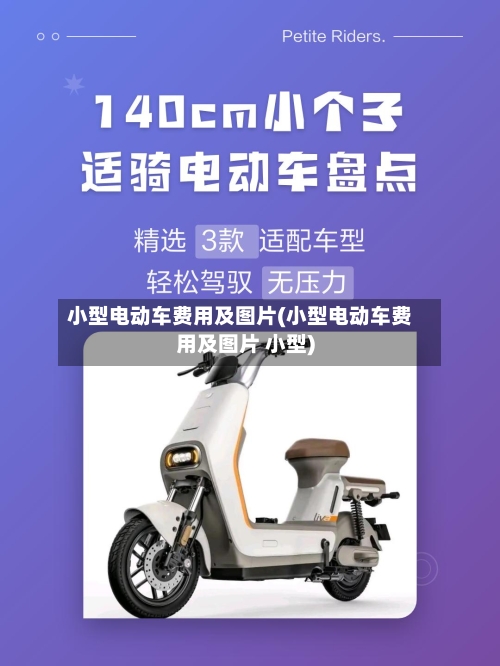 小型电动车费用及图片(小型电动车费用及图片 小型)