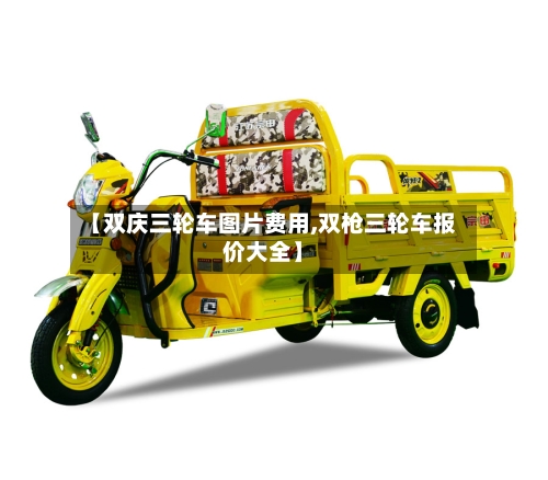 【双庆三轮车图片费用,双枪三轮车报价大全】-第2张图片