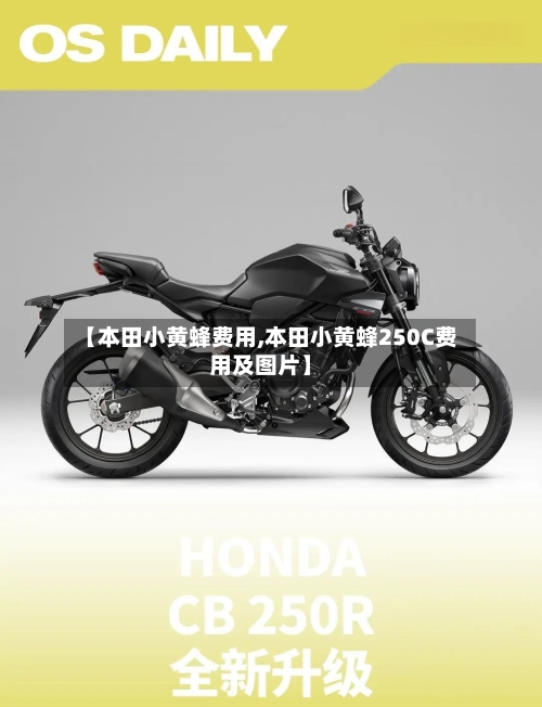 【本田小黄蜂费用,本田小黄蜂250C费用及图片】