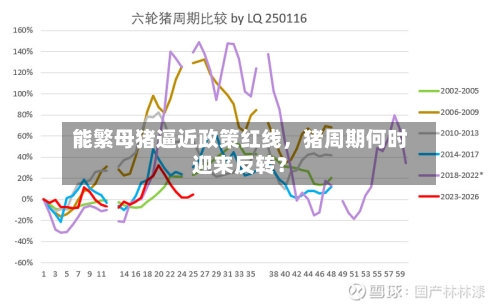 能繁母猪逼近政策红线，猪周期何时迎来反转？