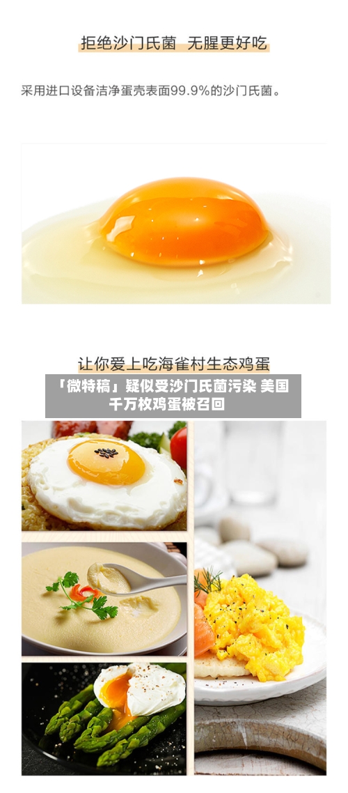「微特稿」疑似受沙门氏菌污染 美国千万枚鸡蛋被召回-第1张图片