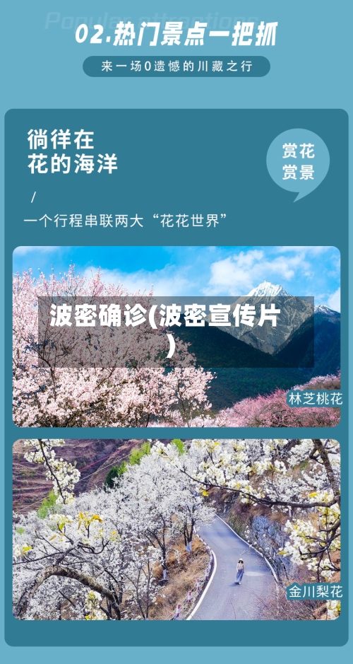 波密确诊(波密宣传片)