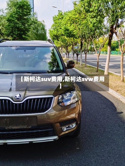 【斯柯达suv费用,斯柯达svw费用】-第2张图片