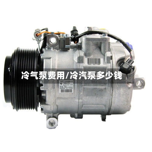冷气泵费用/冷汽泵多少钱
