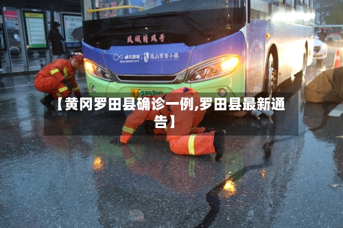 【黄冈罗田县确诊一例,罗田县最新通告】-第2张图片