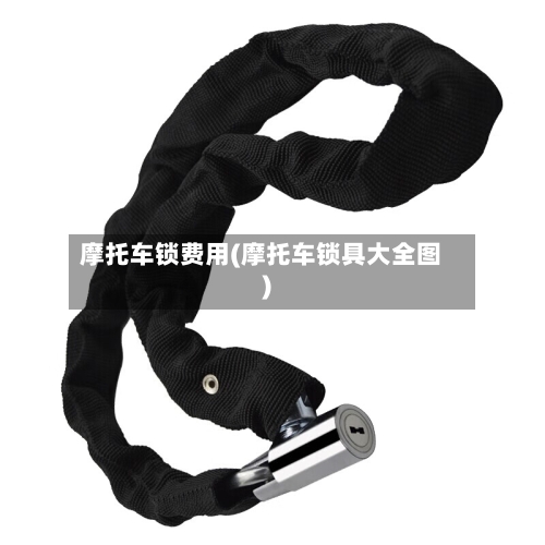 摩托车锁费用(摩托车锁具大全图)-第2张图片
