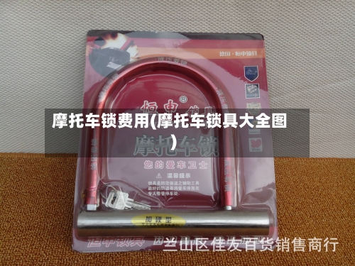 摩托车锁费用(摩托车锁具大全图)-第3张图片