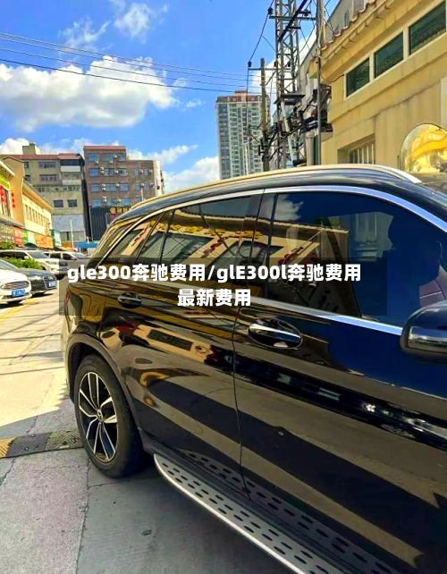 gle300奔驰费用/glE300l奔驰费用最新费用-第3张图片