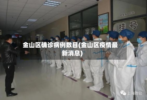 金山区确诊病例数目(金山区疫情最新消息)