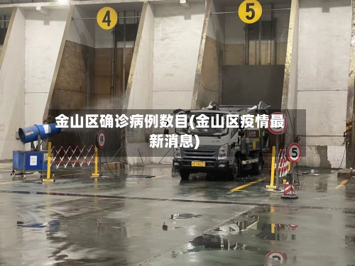 金山区确诊病例数目(金山区疫情最新消息)-第2张图片