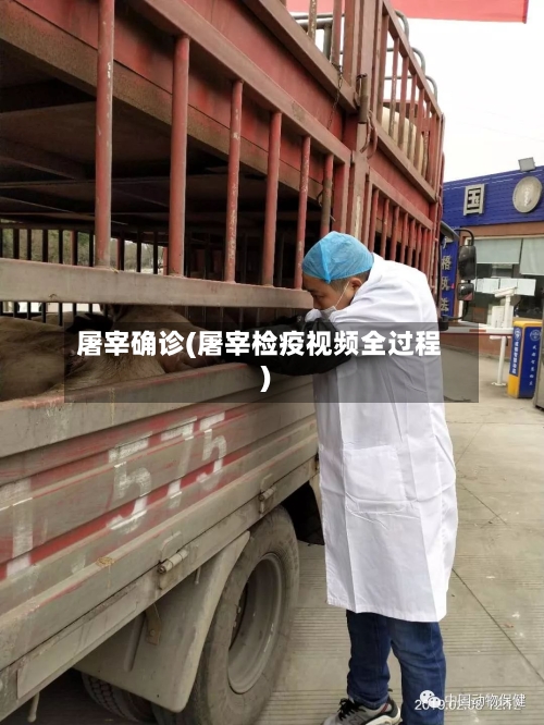 屠宰确诊(屠宰检疫视频全过程)-第1张图片