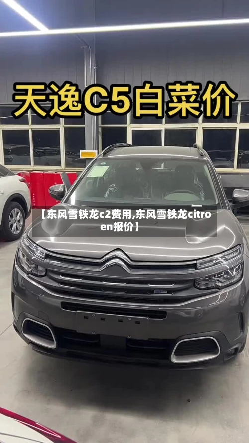 【东风雪铁龙c2费用,东风雪铁龙citroen报价】-第2张图片