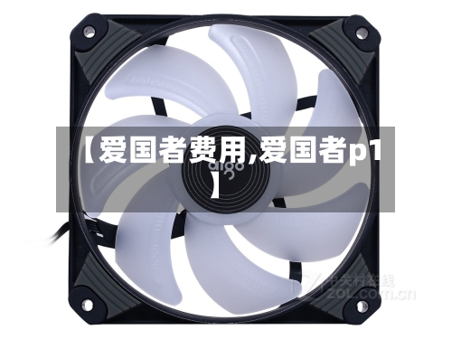 【爱国者费用,爱国者p1】