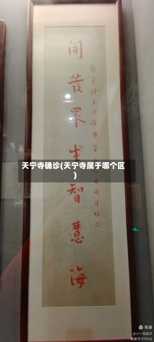 天宁寺确诊(天宁寺属于哪个区)-第2张图片