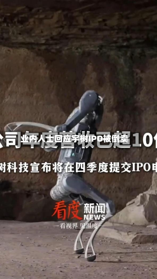 业内人士回应宇树IPO被倒卖