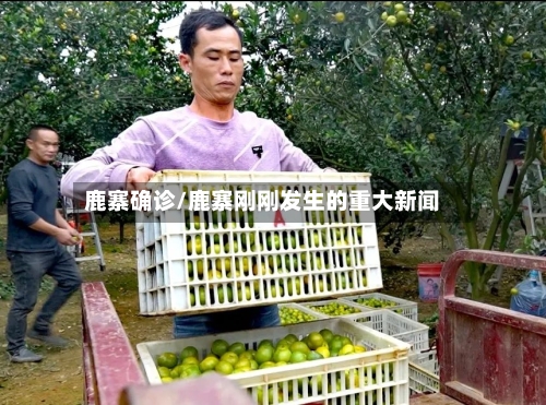 鹿寨确诊/鹿寨刚刚发生的重大新闻-第2张图片