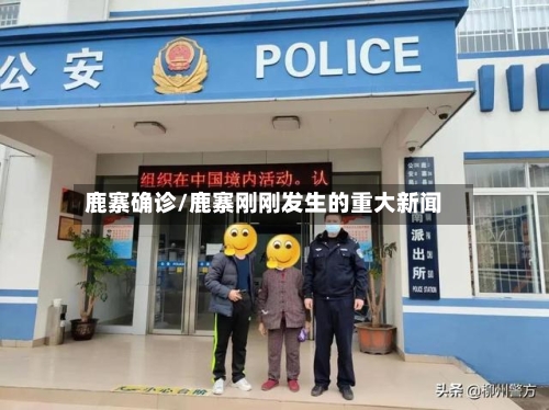 鹿寨确诊/鹿寨刚刚发生的重大新闻-第3张图片