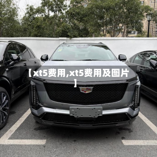 【xt5费用,xt5费用及图片】-第3张图片