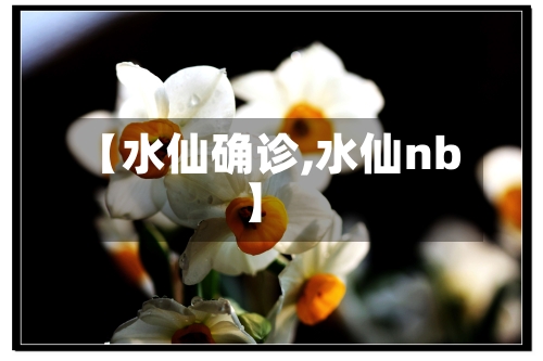 【水仙确诊,水仙nb】