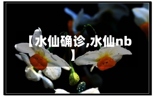 【水仙确诊,水仙nb】-第2张图片