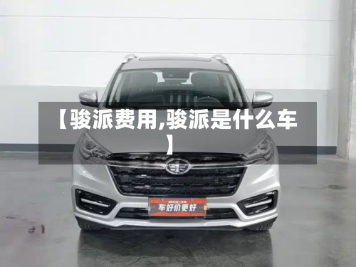 【骏派费用,骏派是什么车】