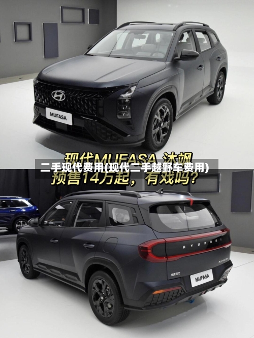 二手现代费用(现代二手越野车费用)-第2张图片
