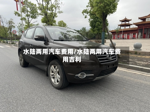 水陆两用汽车费用/水陆两用汽车费用吉利-第2张图片