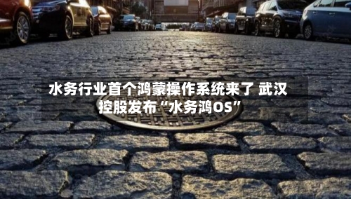 水务行业首个鸿蒙操作系统来了 武汉控股发布“水务鸿OS	”-第2张图片