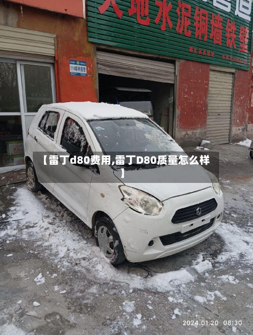【雷丁d80费用,雷丁D80质量怎么样】-第2张图片