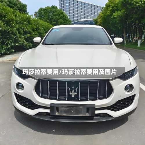 玛莎拉蒂费用/玛莎拉蒂费用及图片