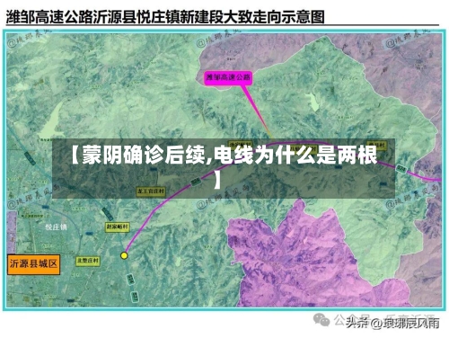 【蒙阴确诊后续,电线为什么是两根】
