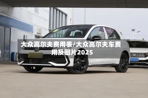 大众高尔夫费用表/大众高尔夫车费用及图片2025-第2张图片