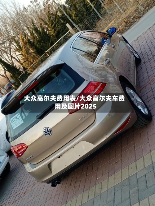 大众高尔夫费用表/大众高尔夫车费用及图片2025-第3张图片