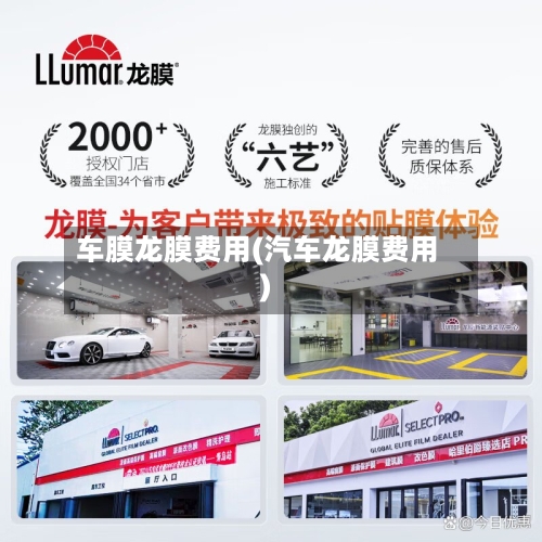 车膜龙膜费用(汽车龙膜费用)