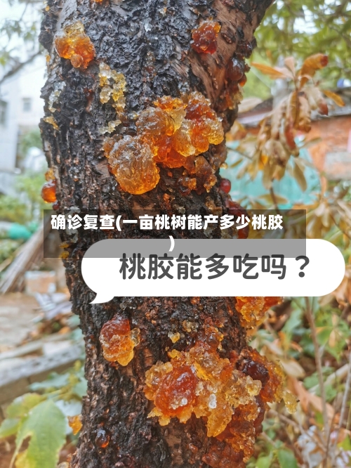 确诊复查(一亩桃树能产多少桃胶)