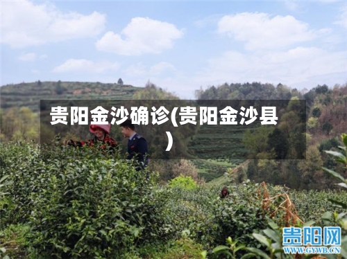 贵阳金沙确诊(贵阳金沙县)-第2张图片