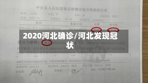 2020河北确诊/河北发现冠状